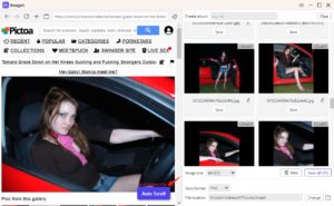 How to Download Pictoa Pics and GIFs? - Imaget