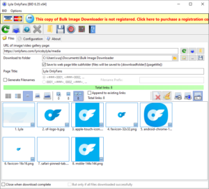 The Ultimate Guide on How to Save OnlyFans Pictures Easily - Imaget