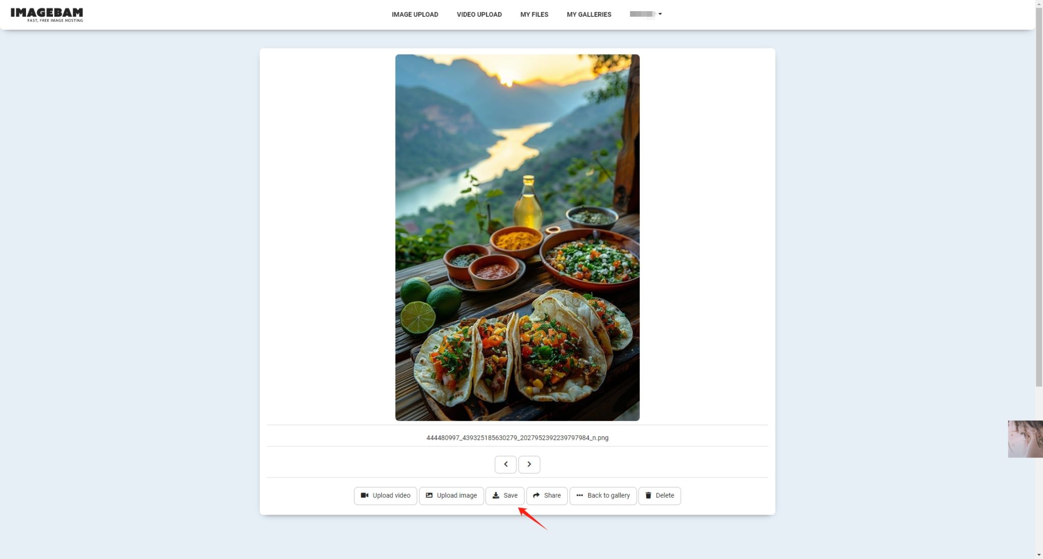 imagebam-imaget