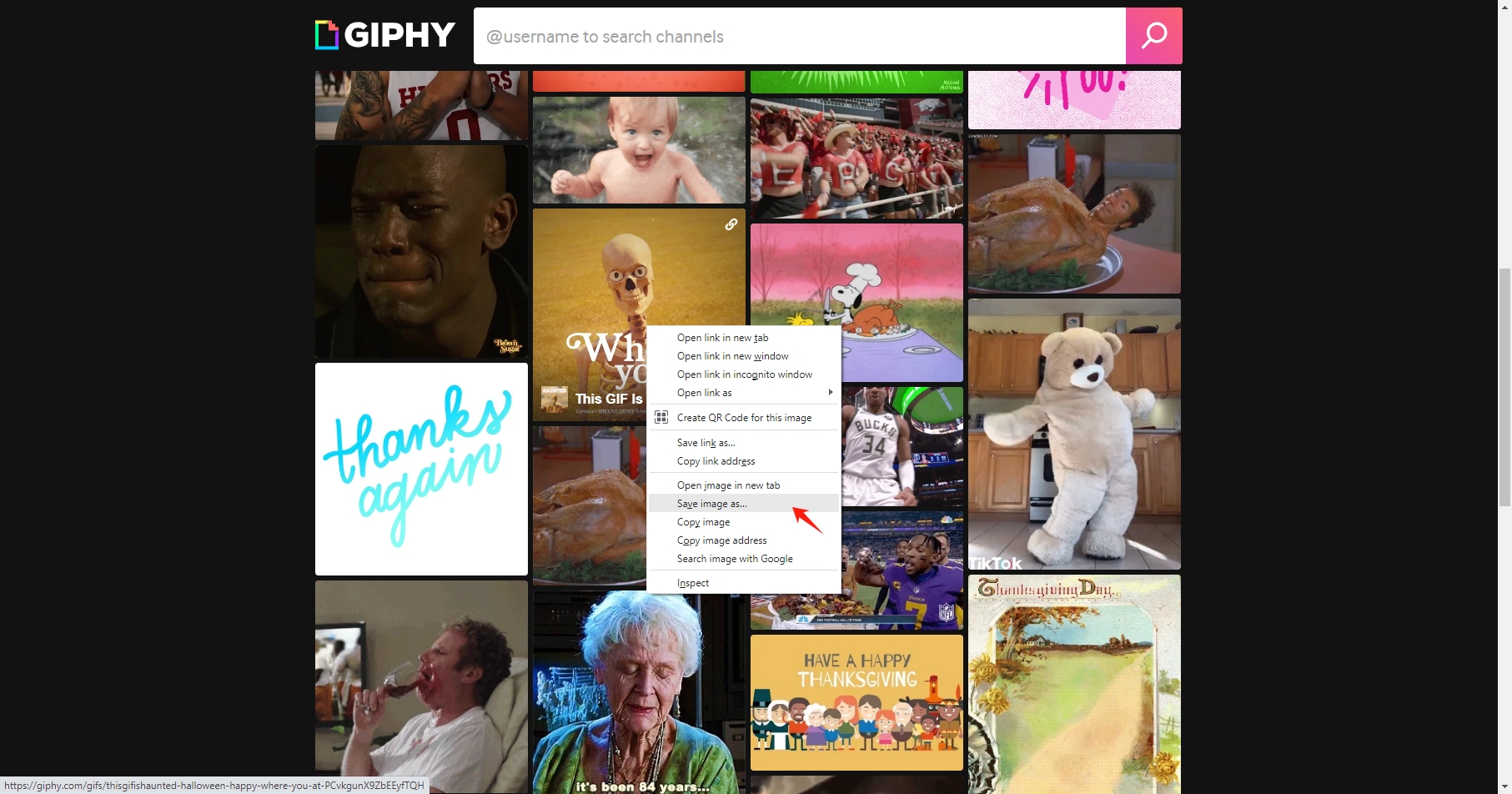 download a giphy gif using save image as