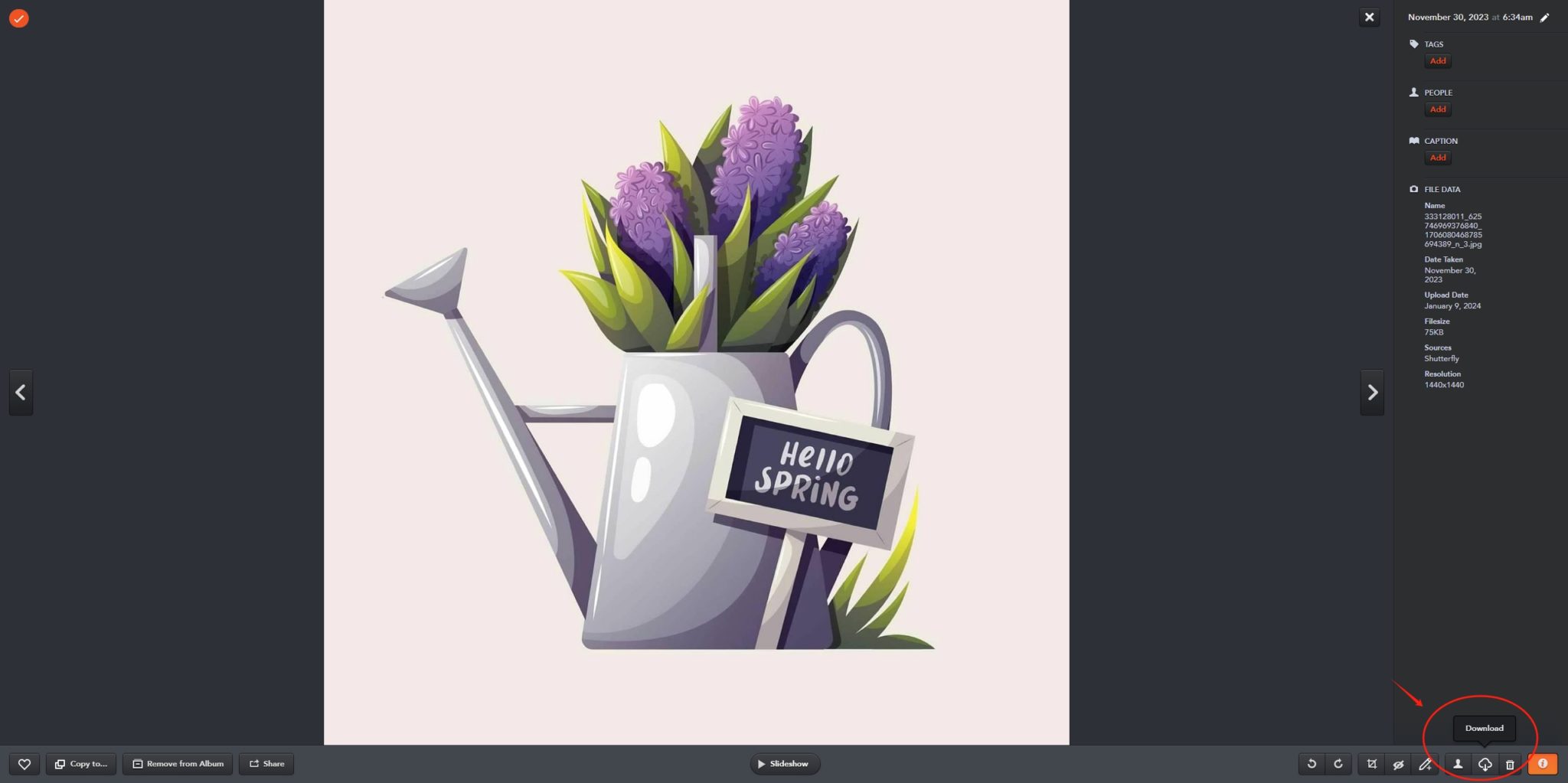 How to Download Photos from Shutterfly to my Computer? Imaget