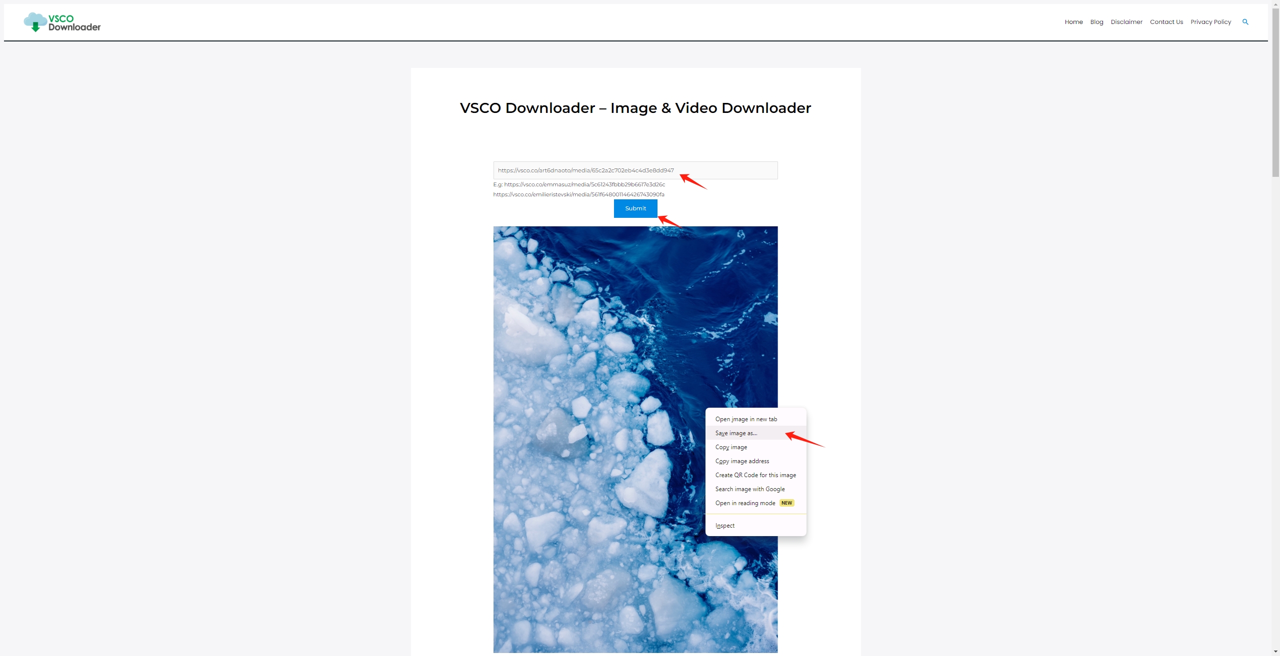 download a vsco picture with online downloader