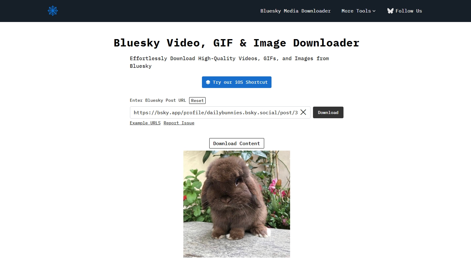 bluecrawlerでblueskyの画像をダウンロードする