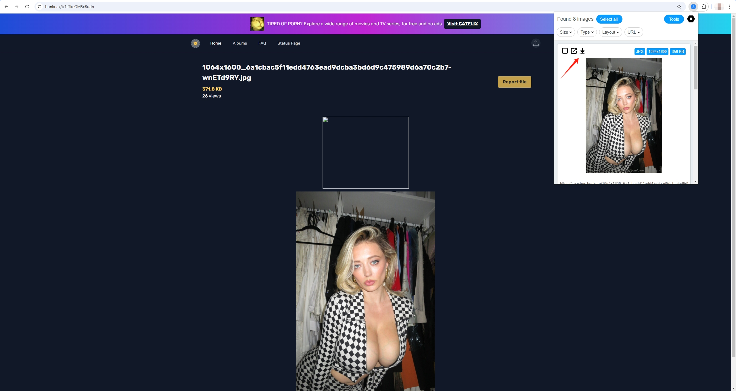 How to download album from bunkr