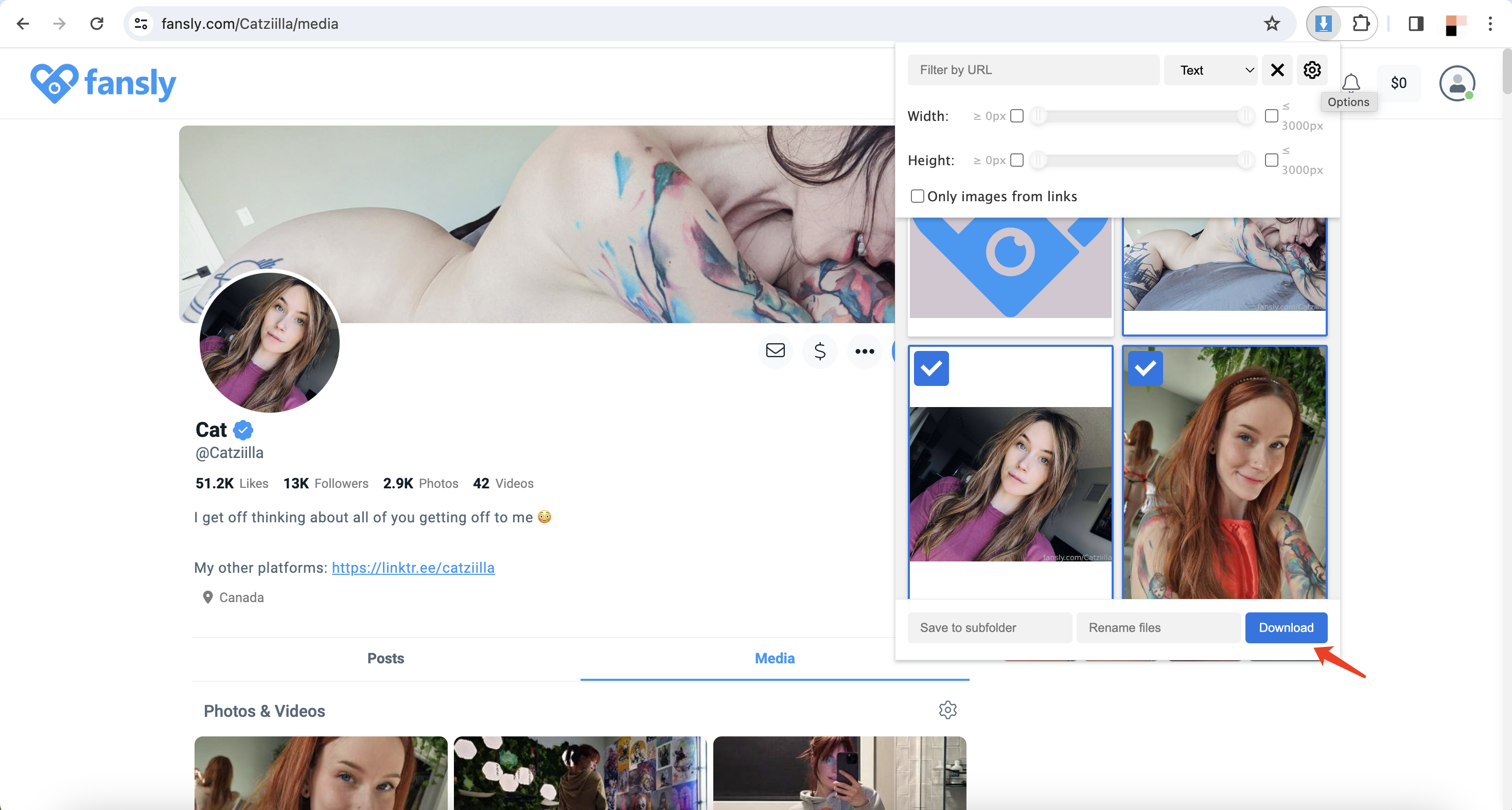 download fansly images with extension