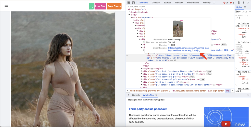 How to Download All Images from Fapello? - Imaget