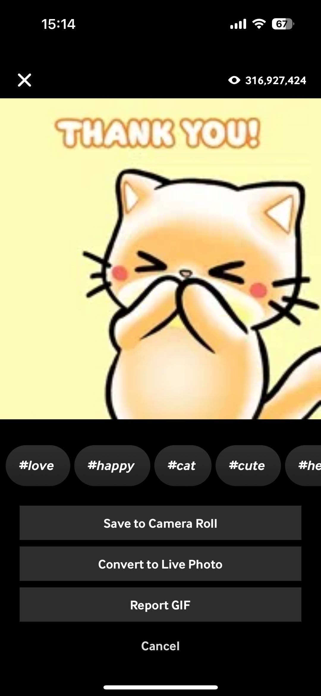 download giphy gif on mobile app