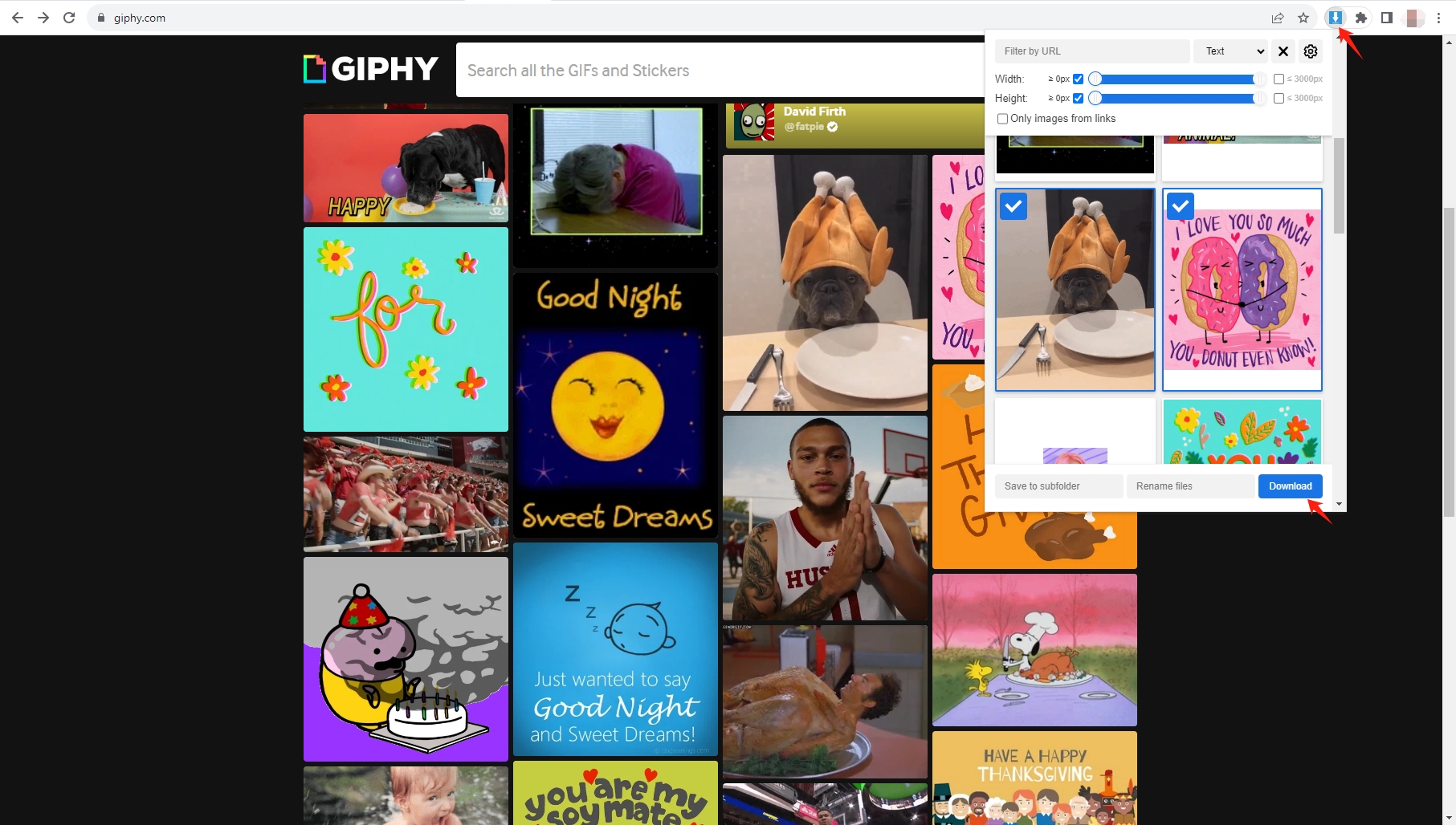 download giphy gifs with extension