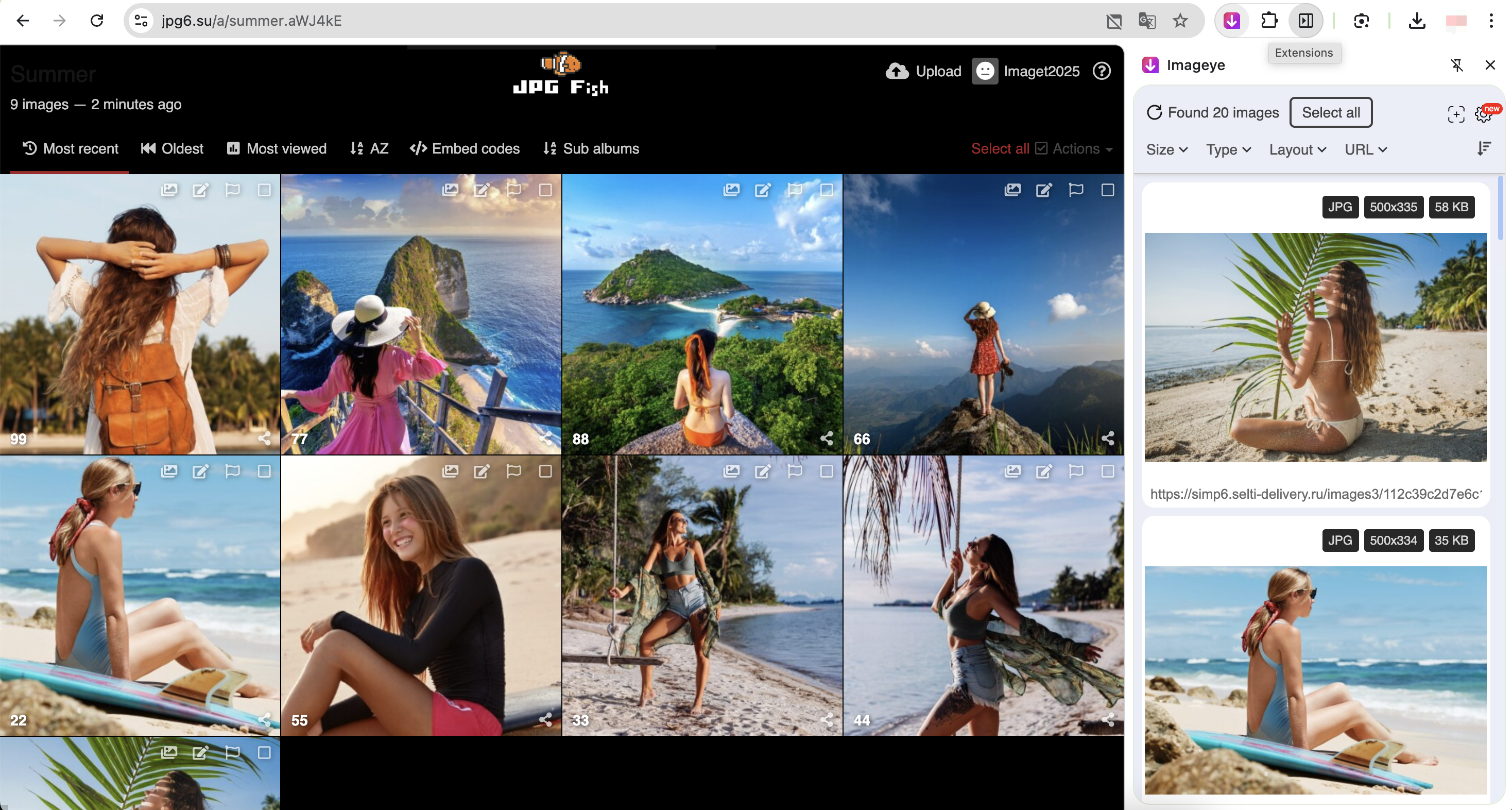 拡張子付きのJPG魚画像をダウンロード