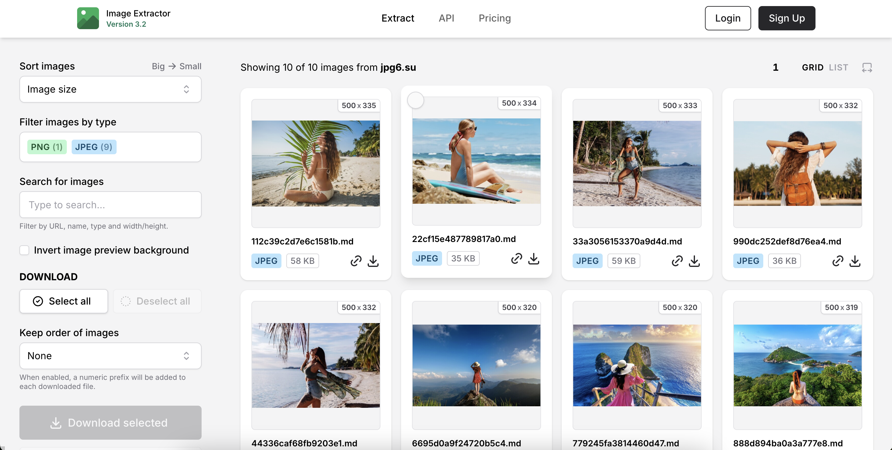 オンラインダウンローダーでJPGの魚の画像をダウンロードする