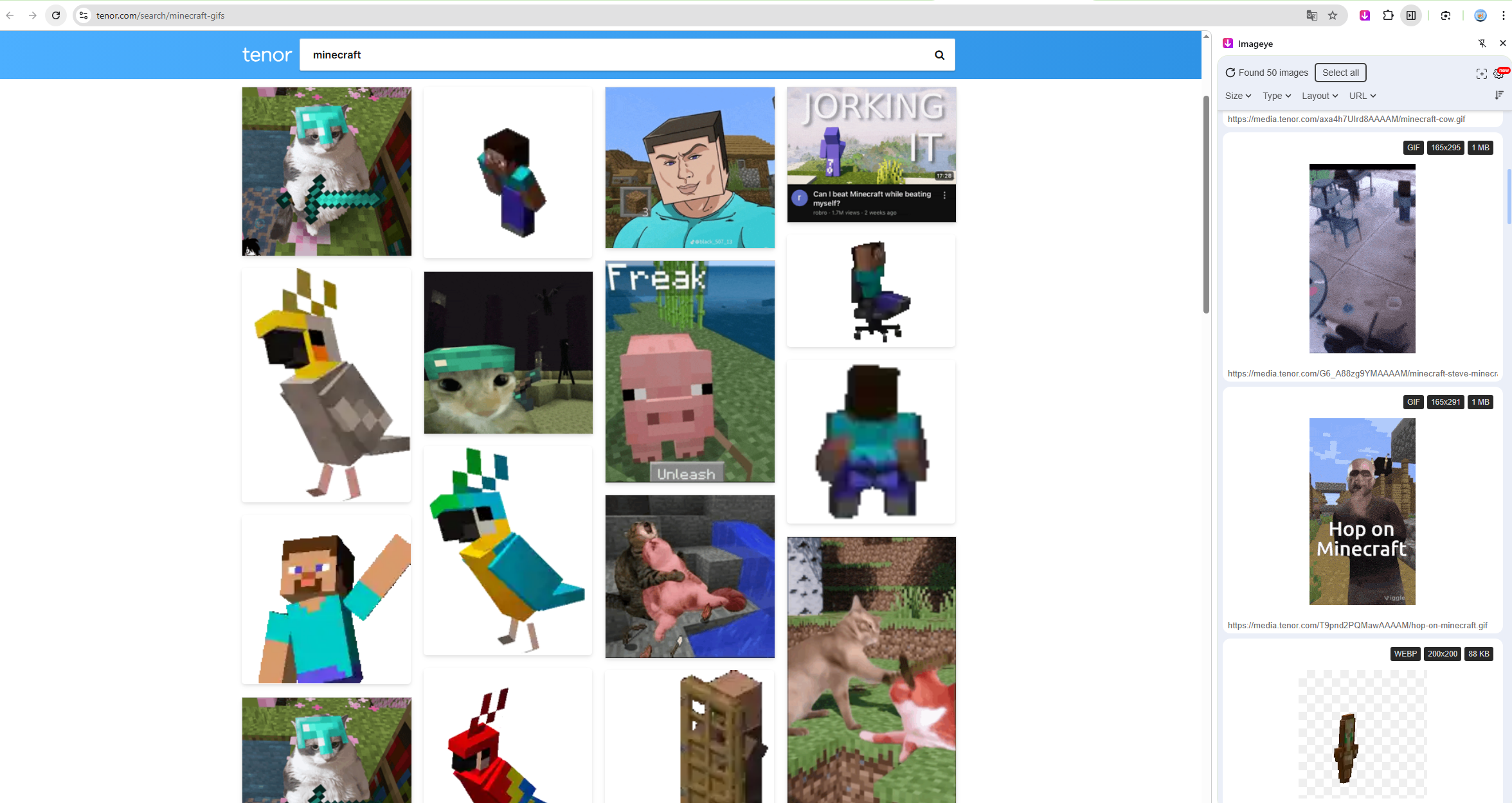 scarica gif di minecraft con estensione