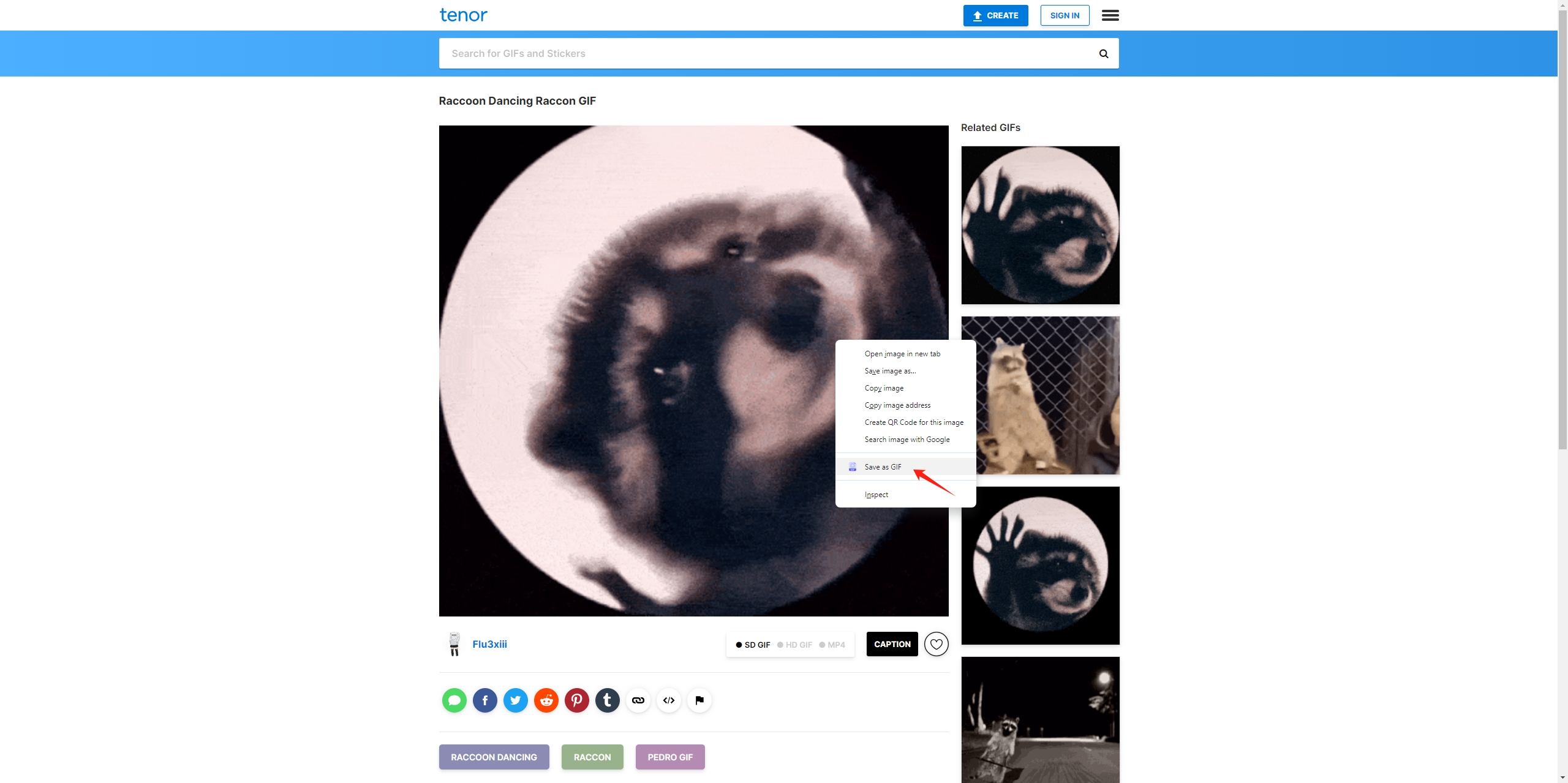 Pedro Racoon-GIF mit Chrome-GIF-Downloader herunterladen