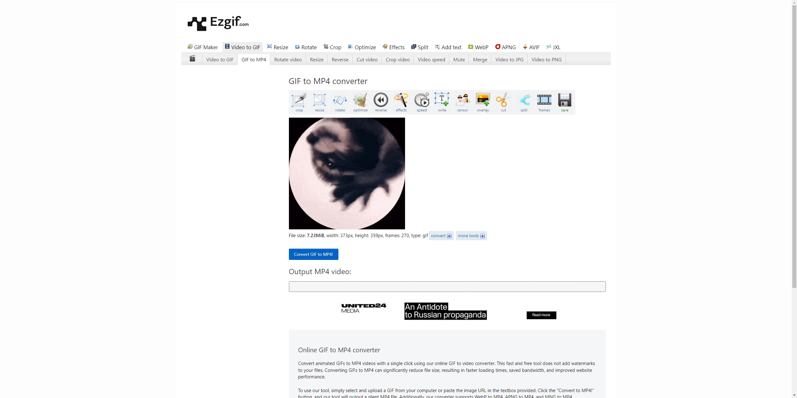 Laden Sie Pedro Racoon-GIF mit dem Online-GIF-Downloader herunter