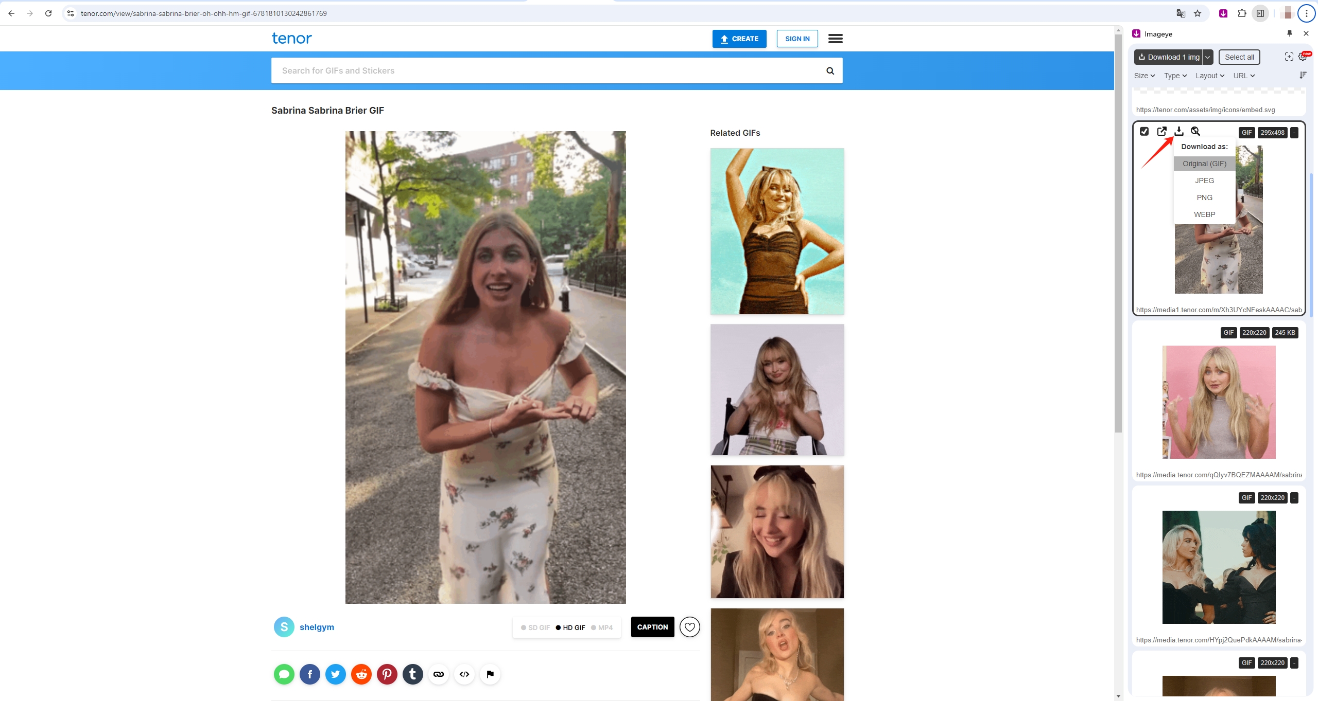 Descargar gif de sabrina brier con extensión