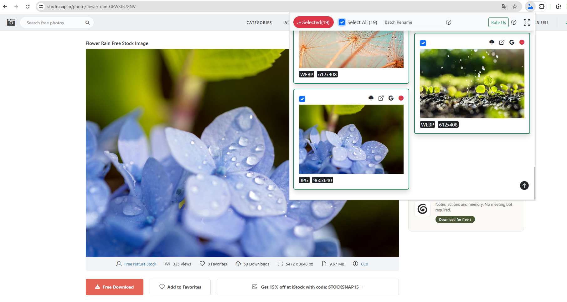download stocksnap free stock image with extensions