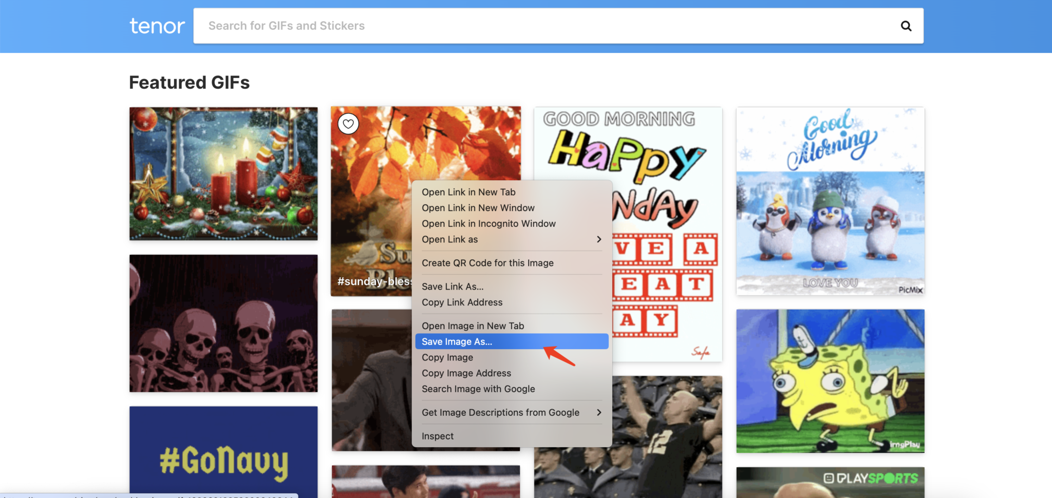 how-to-download-gifs-from-tenor-imaget