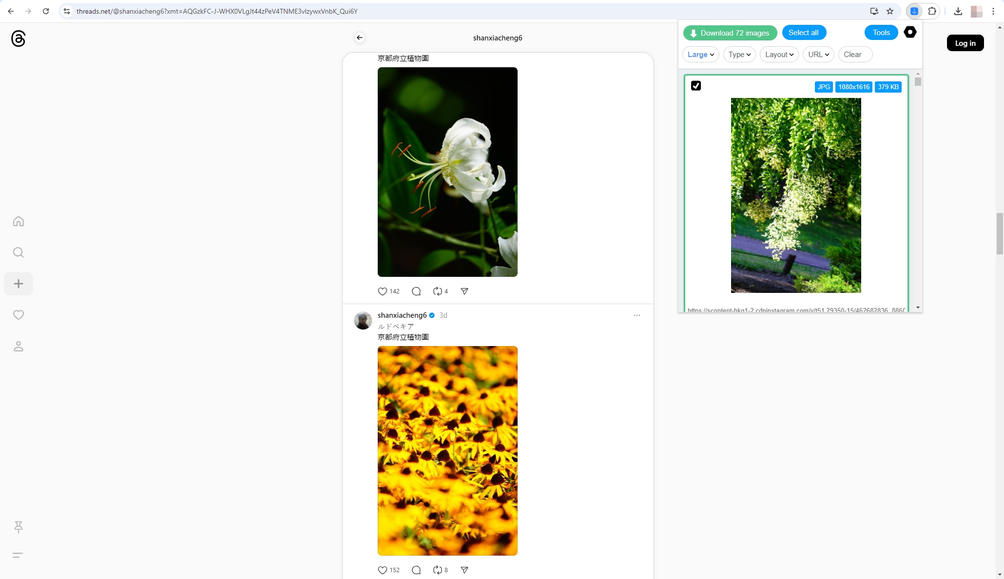 Laden Sie Thread-Bilder mit der Image Downloader-Erweiterung herunter