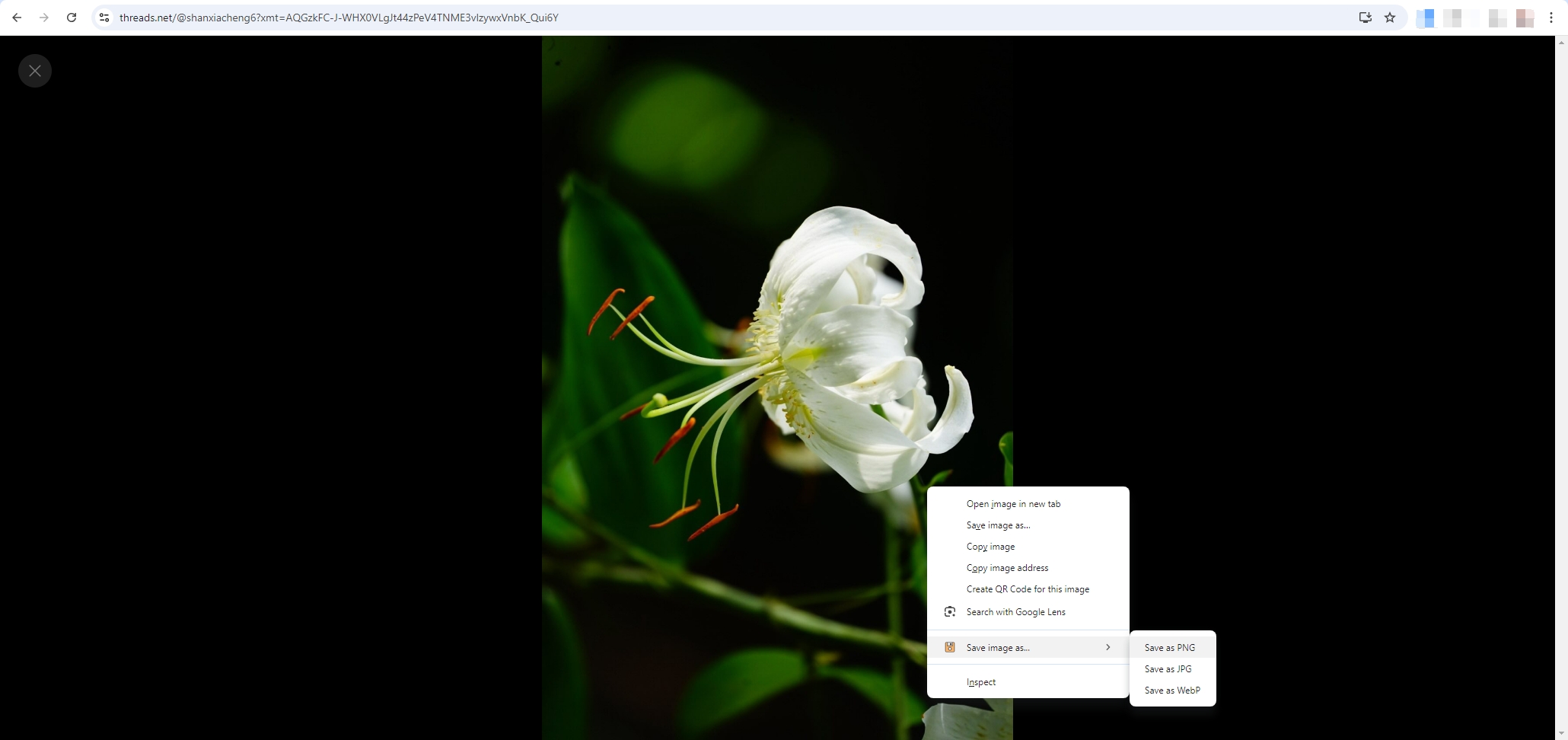 download threads images with save image as extension