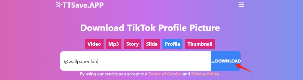 baixe a foto do perfil do tiktok com o downloader online