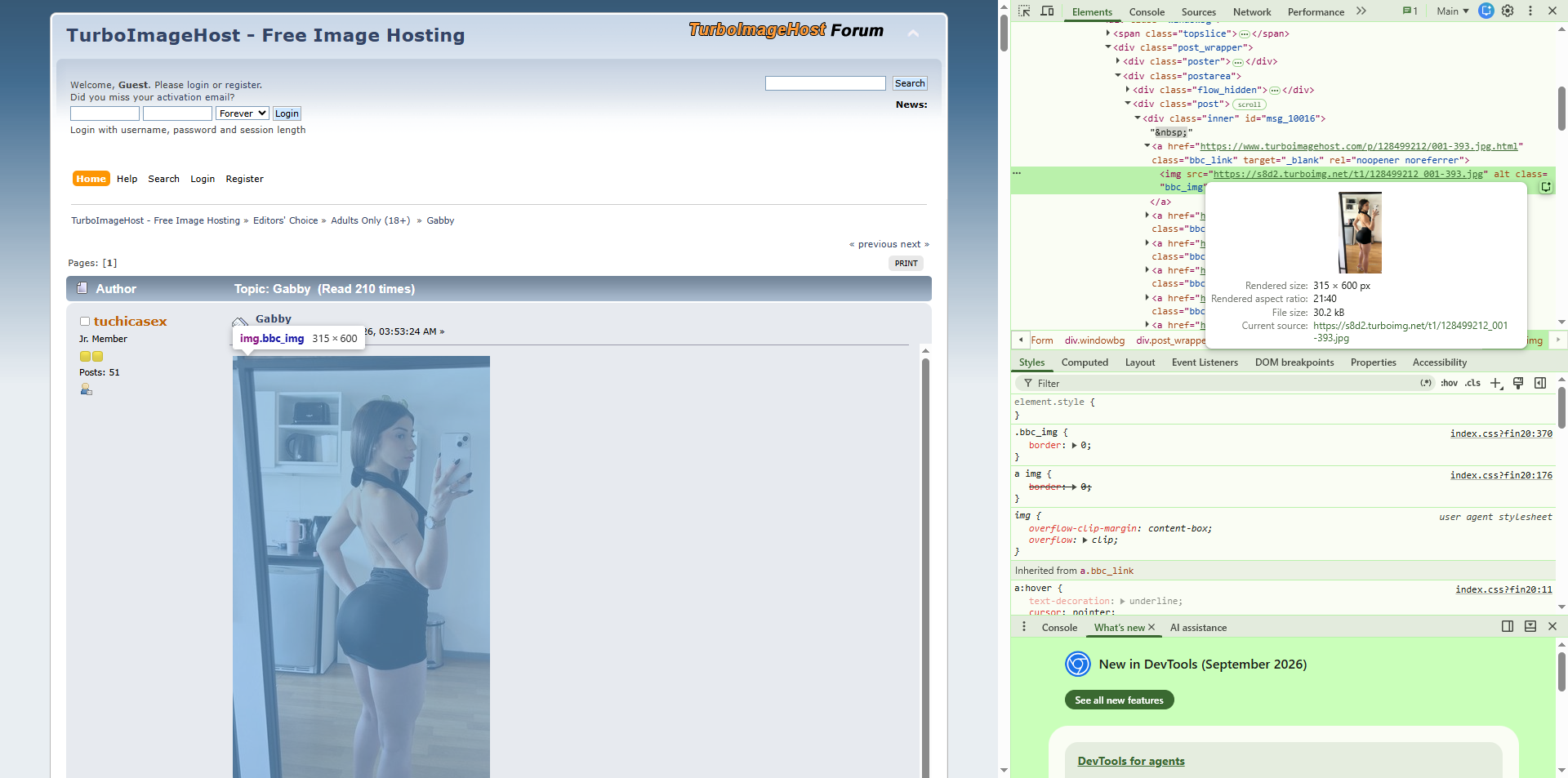 download turboimagehost images with dev tools