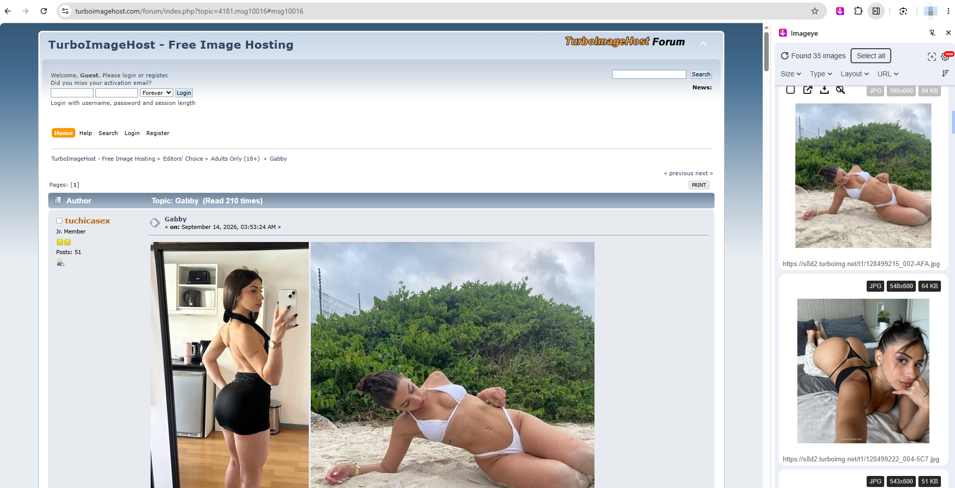 download turboimagehost images with extension