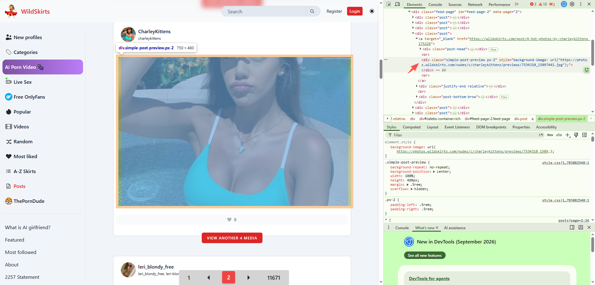 download wildskirts pictures with dev tools