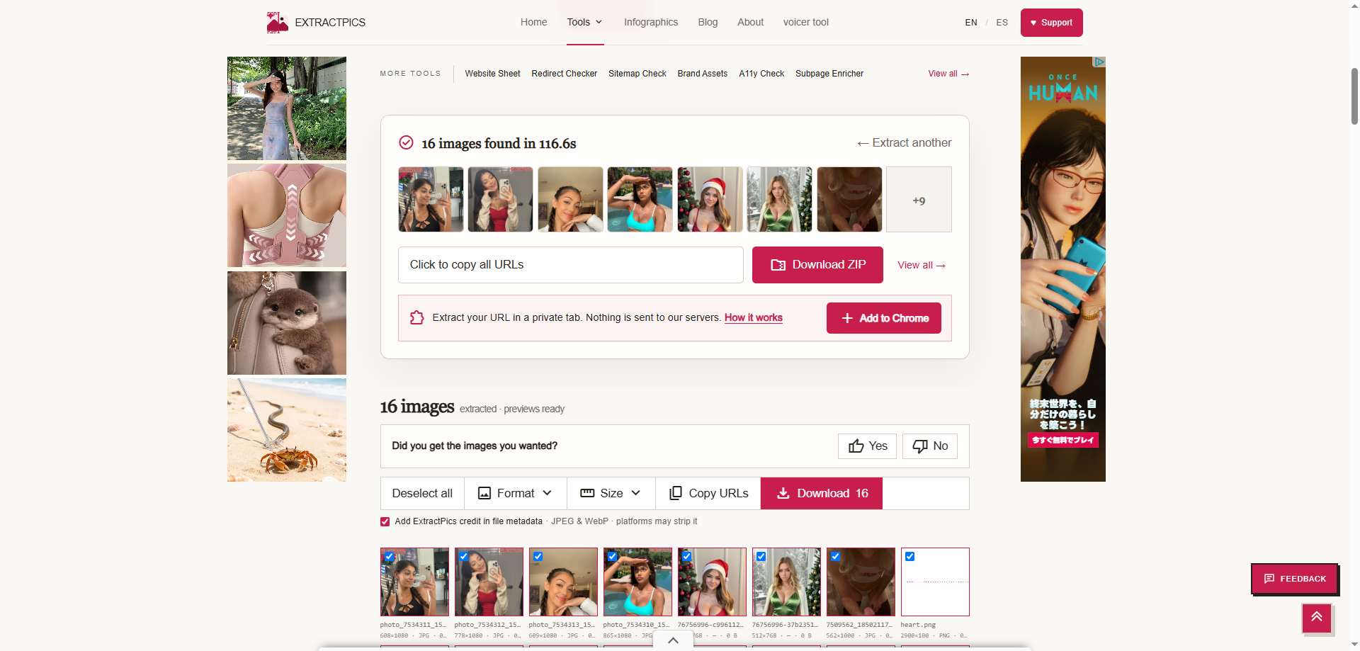 download wildskirts pictures with online downloader