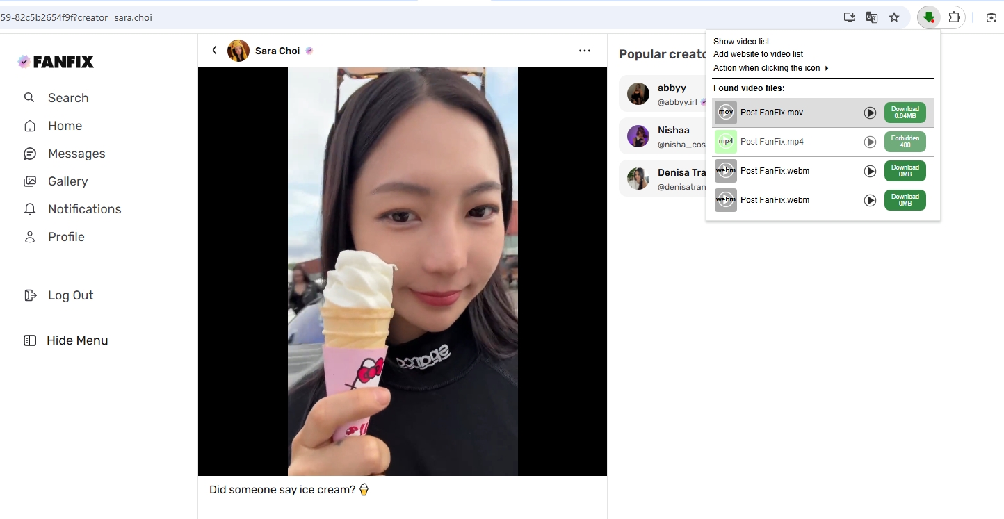 extension to download fanfix video