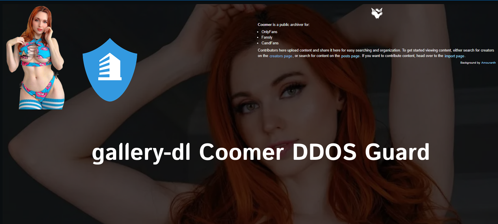 gallery-dl coomer ddos guard​