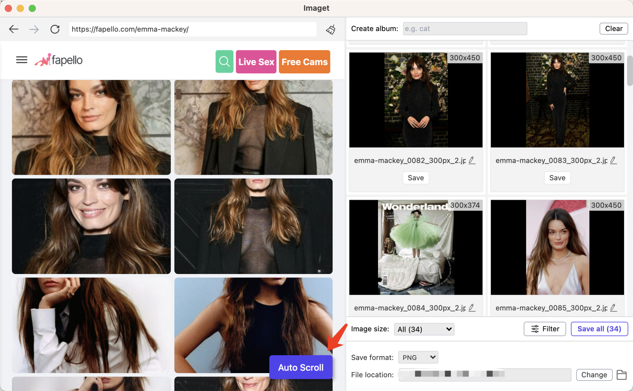 How to Download All Images from Fapello? - Imaget