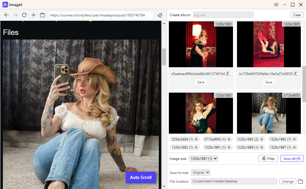 imaget bulk download images from coomer