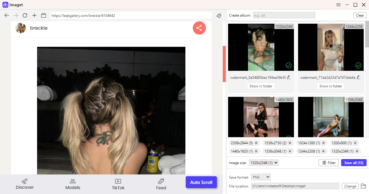 imaget bulk download leakgallery images