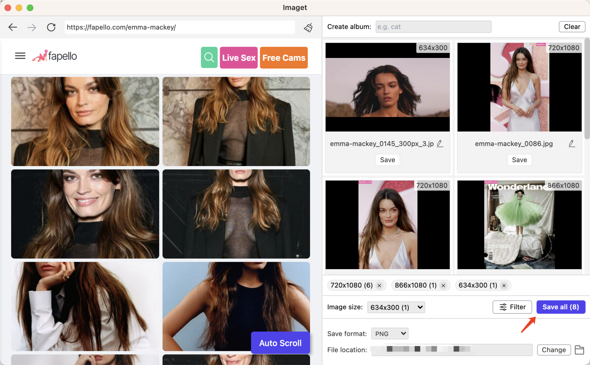 Comment télécharger toutes les images de Fapello ? - Imaget