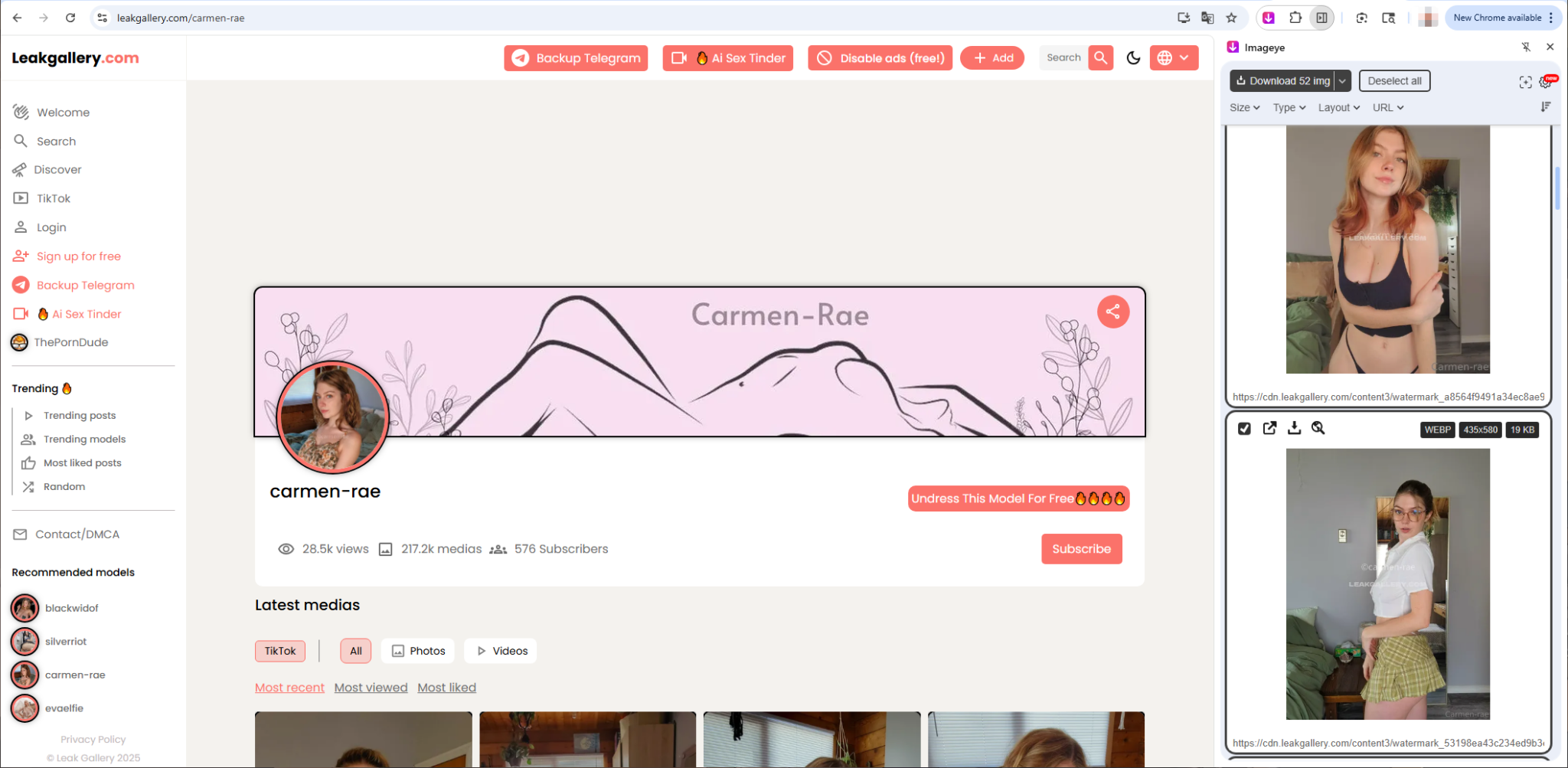 How to Download All Photos from LeakGallery? - Imaget