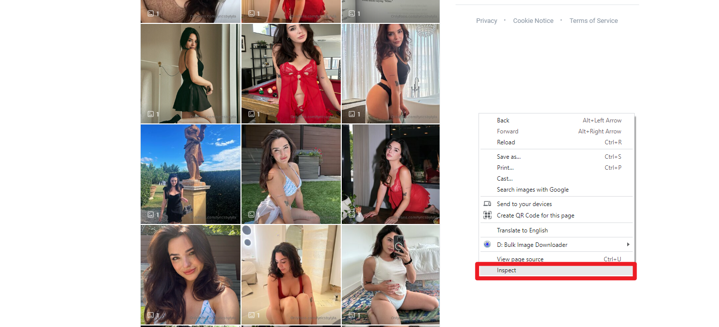 onlyfans page inspect