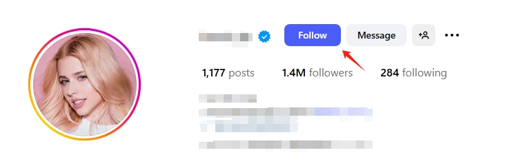 Instagram 请求关注