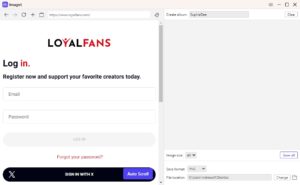 How to Download Images from LoyalFans? - Imaget