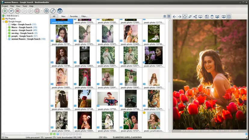 neodownloader bulk download images