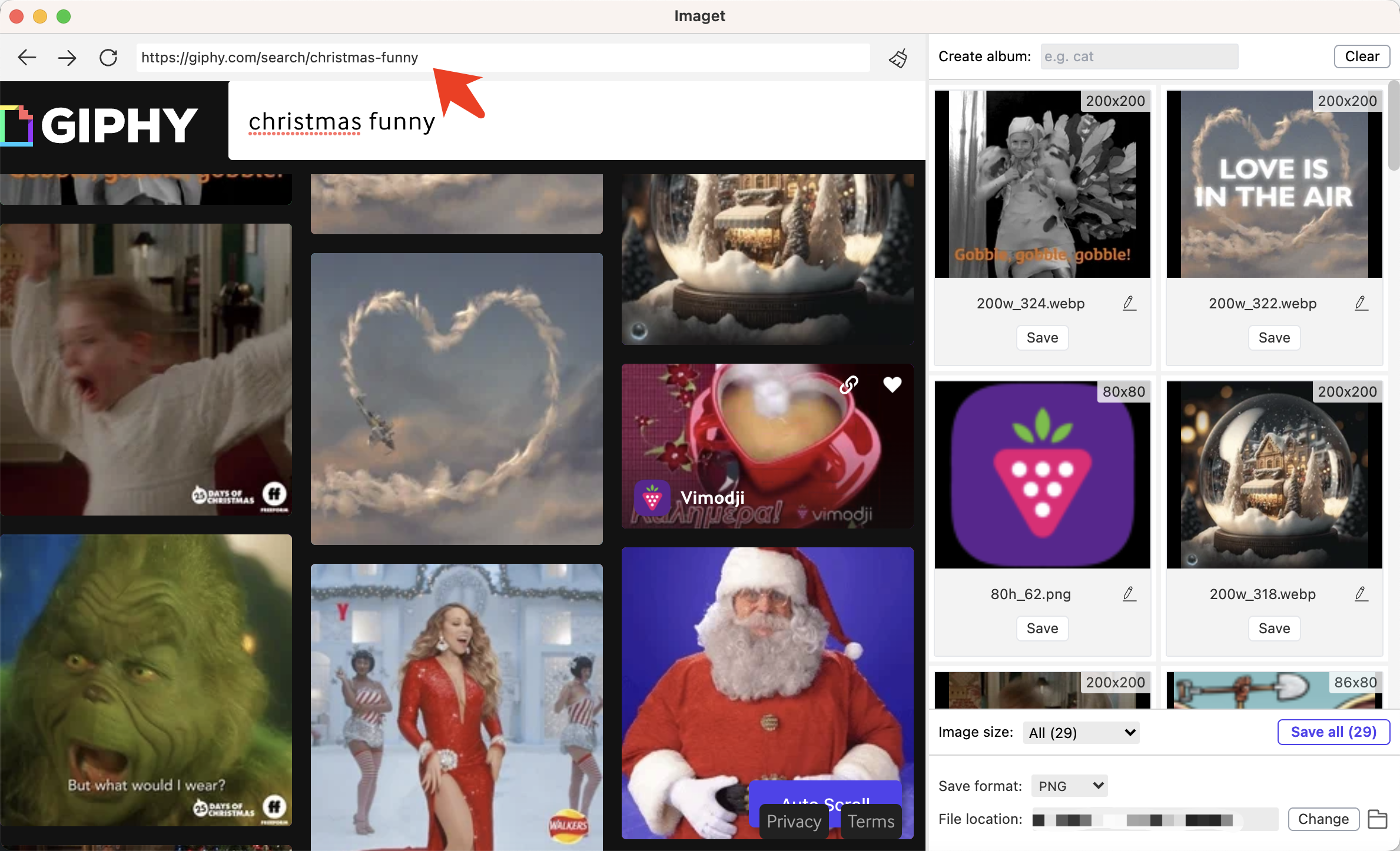 coller l'URL du gif de Noël copié dans l'image