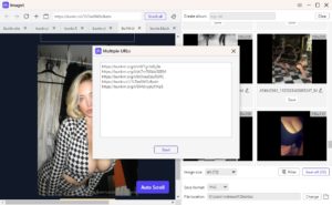How to Download All Images from Bunkr Public Albums? - Imaget