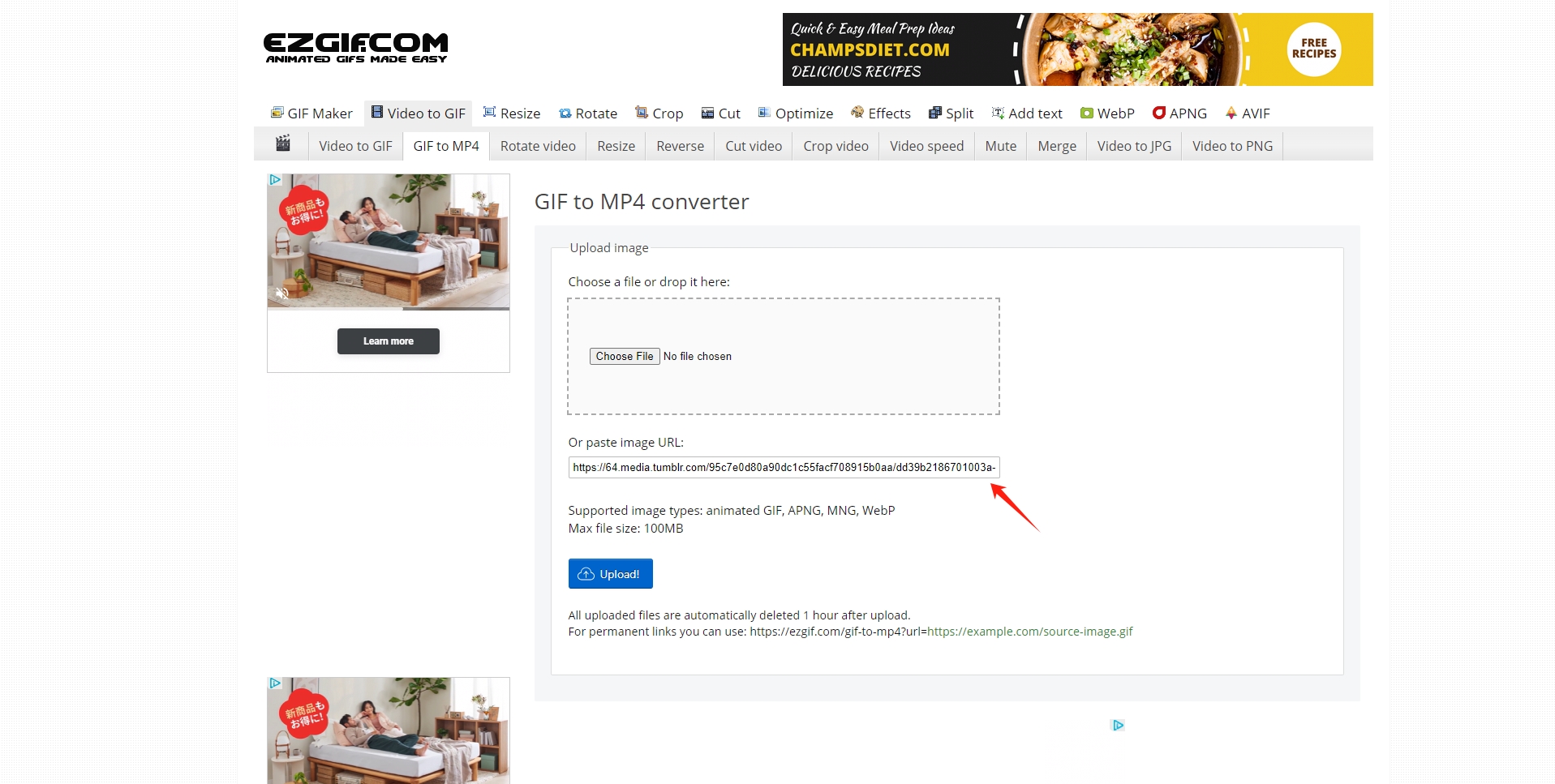 How to Download GIFs from Tumblr Link? Imaget