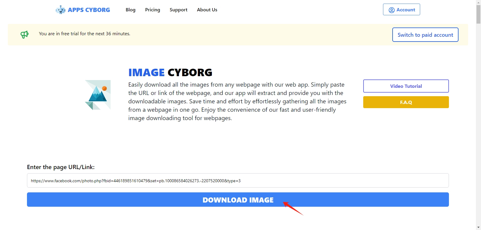 coller l'URL dans l'image cyborg