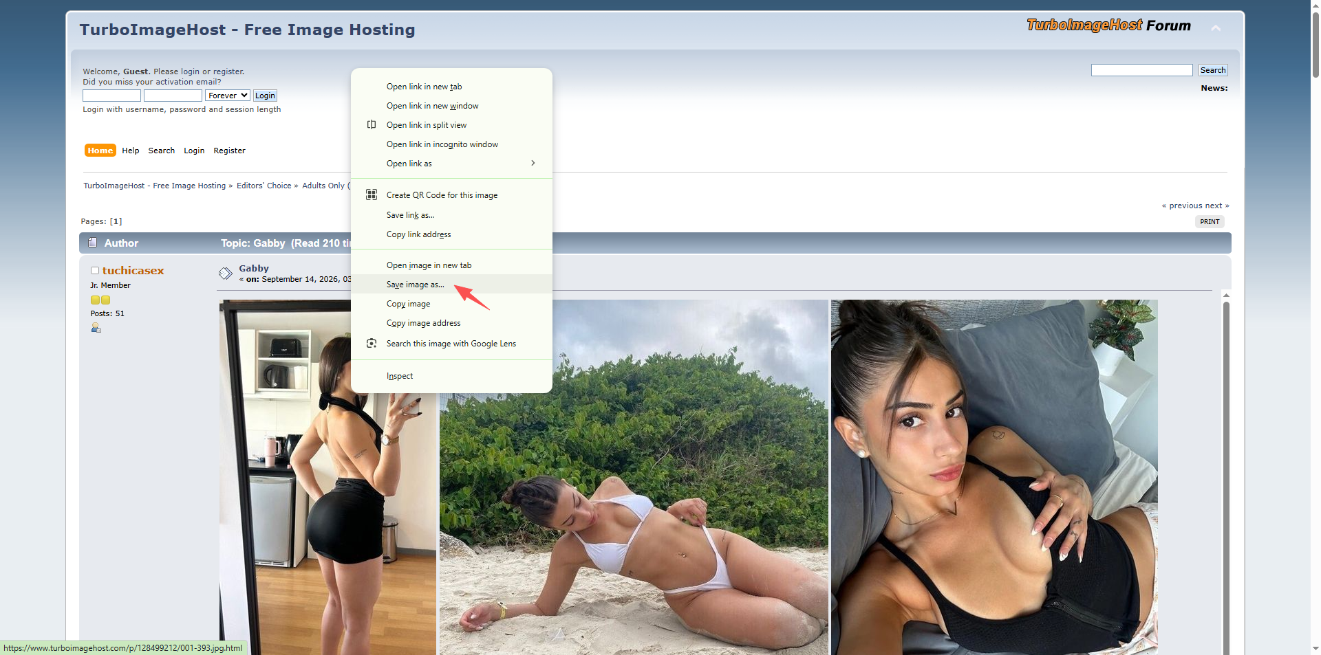right click to download turboimagehost image