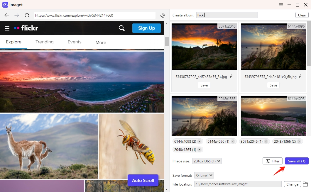 save all selected flickr images