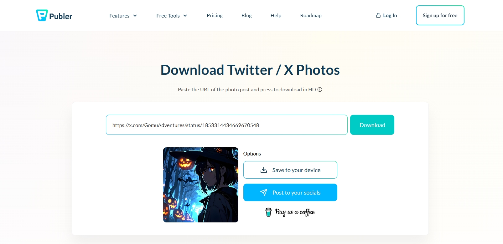 Speichern Sie Twitter-Bilder in voller Größe mit dem Online-Downloader