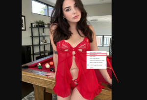 The Ultimate Guide on How to Save OnlyFans Pictures Easily - Imaget