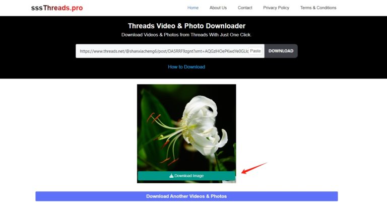 Best Threads Image Downloader to Download Images from Threads - Imaget